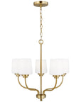 Sea Gull Lighting Windom 5-Light 9W Chandelier