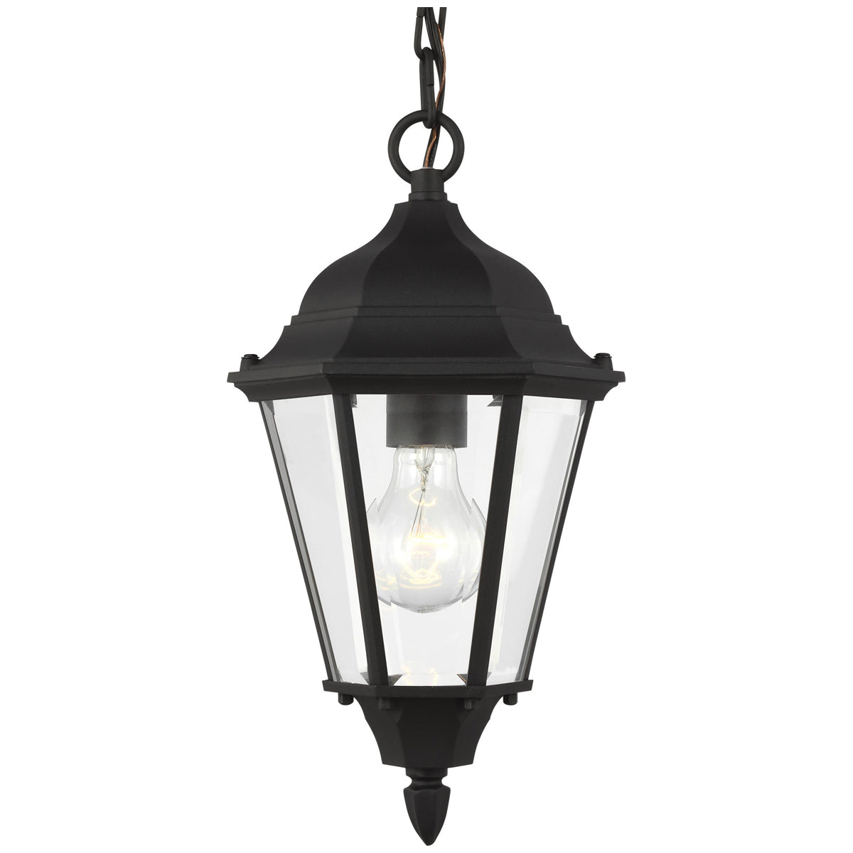 Sea Gull Lighting Bakersville 1-Light Outdoor Pendant with Bulb