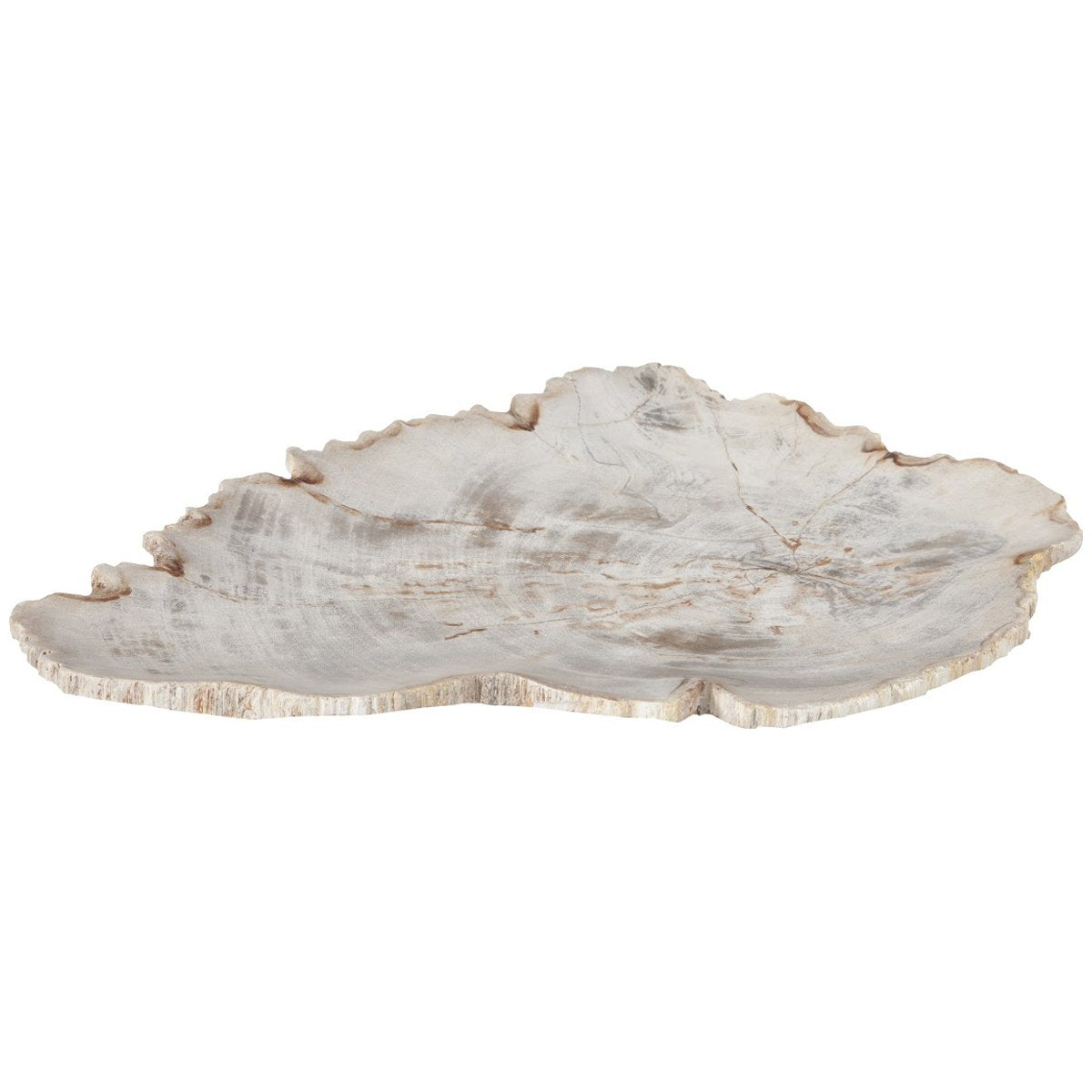 Phillips Collection Petrified Wood Plate, Assorted Color and Shape