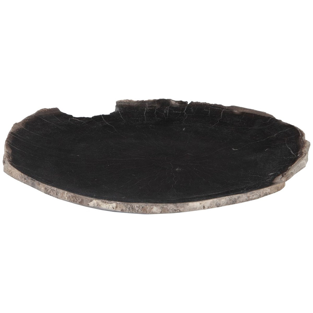 Phillips Collection Petrified Wood Plate, Assorted Color and Shape