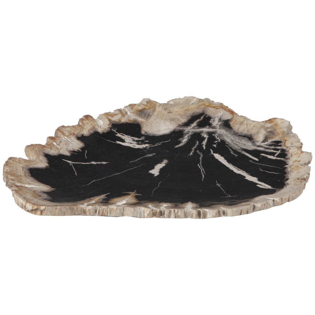 Phillips Collection Petrified Wood Plate, Assorted Color and Shape