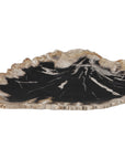 Phillips Collection Petrified Wood Plate, Assorted Color and Shape