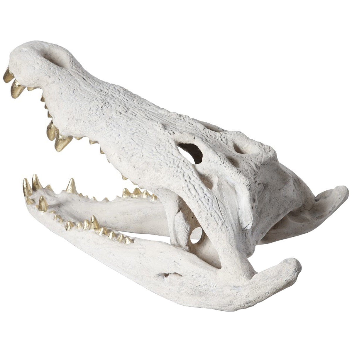 Phillips Collection Crocodile Skull Sculpture