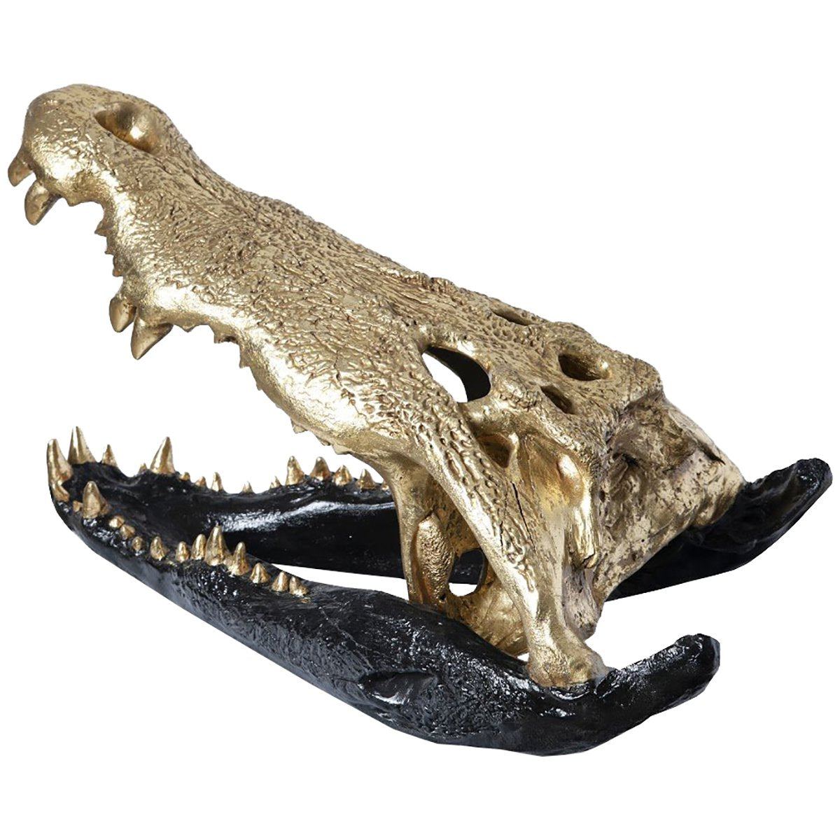 Phillips Collection Crocodile Skull Sculpture