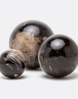 Made Goods Bram Petrified Wood Balls, 3-Piece Set